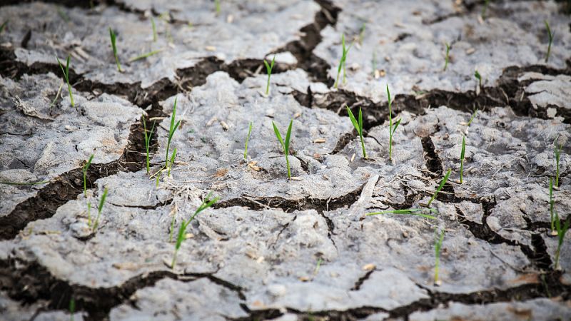 El año 2017, camino de convertirse en uno de los tres más calurosos de la historia a nivel mundial