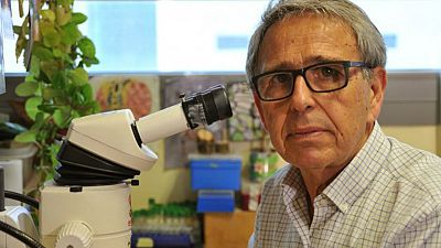 Documentos RNE - Ginés Morata, explorando las claves de la vida - 05/07/18 - escuchar ahora