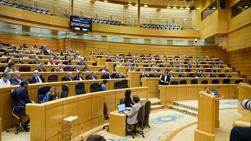 El pleno del Senado en una imagen de archivo