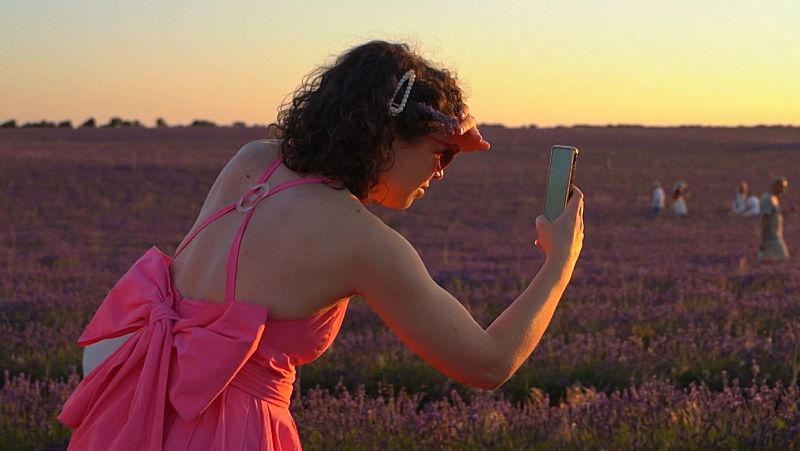 Brihuega, el pueblo que celebra la floración de la lavanda