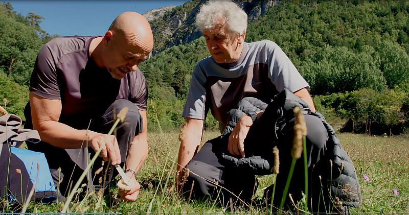 'El señor de los bosques' mostrará en La 2 la riqueza micológica de España