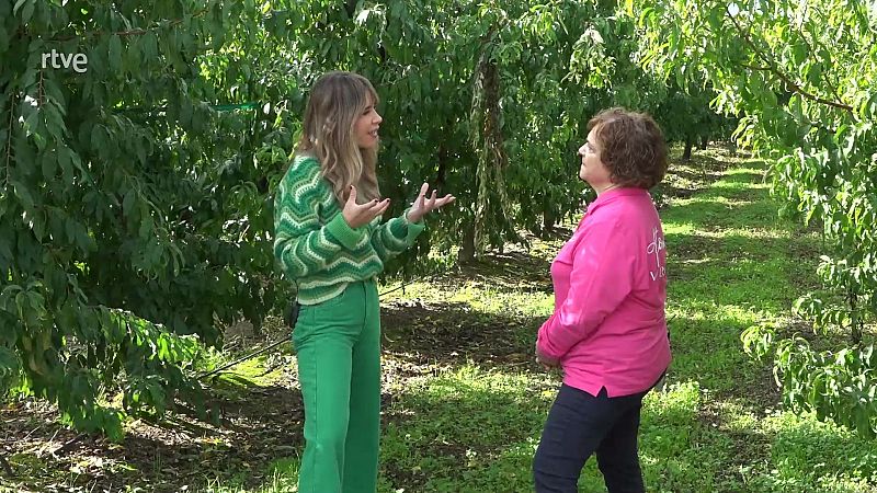 L'apadrinament d'arbres a Aitona aposta per acostar el món rural a la ciutat