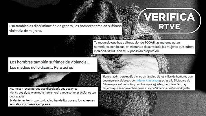 Violencia de gnero: desmentimos con datos bulos y desinformacin en redes sociales