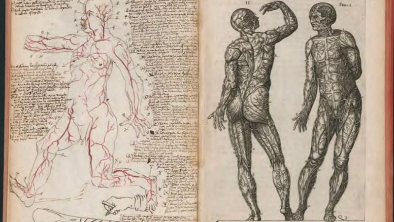 El arte y la anatomía en el Renacimiento al desnudo en la Biblioteca Nacional de España