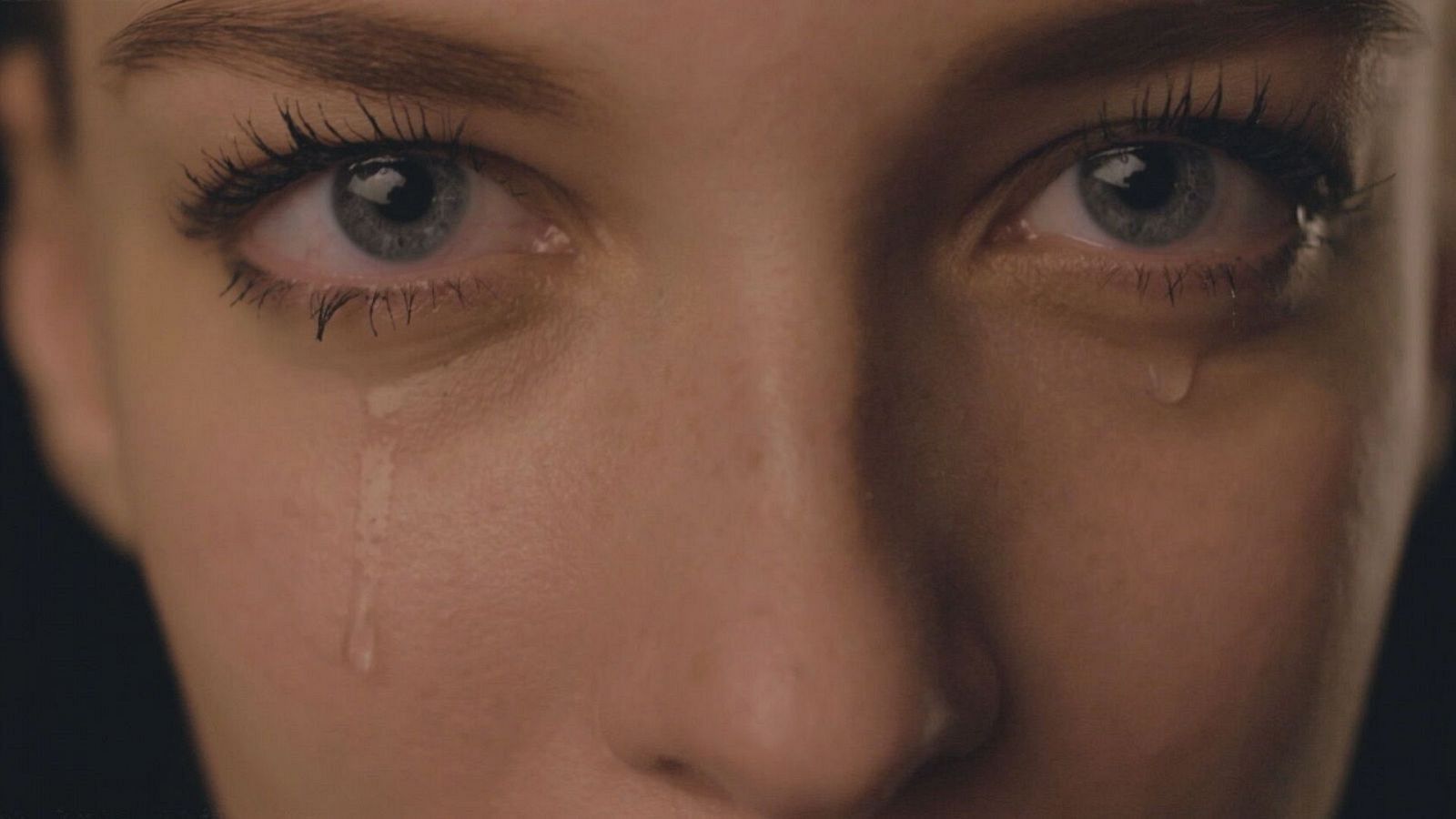 Consejos para gestionar la timidez - Para Todos La 2 - Para todos La 2 | Ver