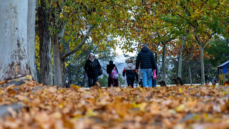 El mes de noviembre de 2024 fue el segundo más cálido documentado, según Copernicus