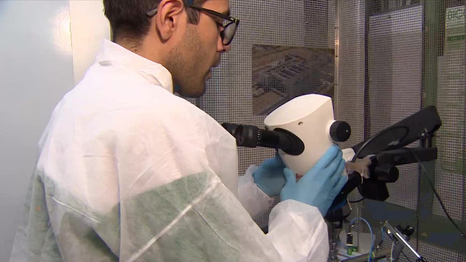 Científicos del CSIC revelan un nuevo hallazgo sobre la dopamina - Telediario 2 | Ver