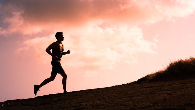 El ejercicio aeróbico mejora la memoria y mantiene la salud del cerebro a medida que uno envejece