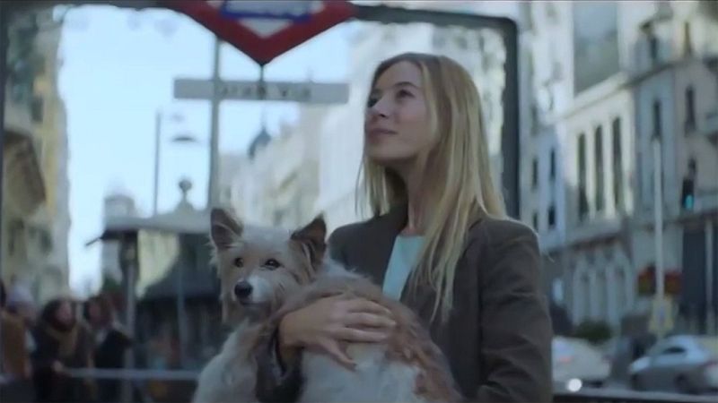 Max, el perro al que "le tocó" la Lotería de Navidad