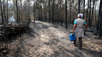 Una mujer camina entre el bosque arrasado por los incendios en Portugal el pasado septiembre