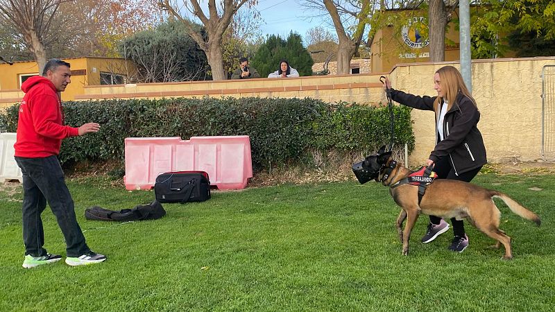 Proyecto PEPO: perros de proteccin para vctimas de violencia de gnero