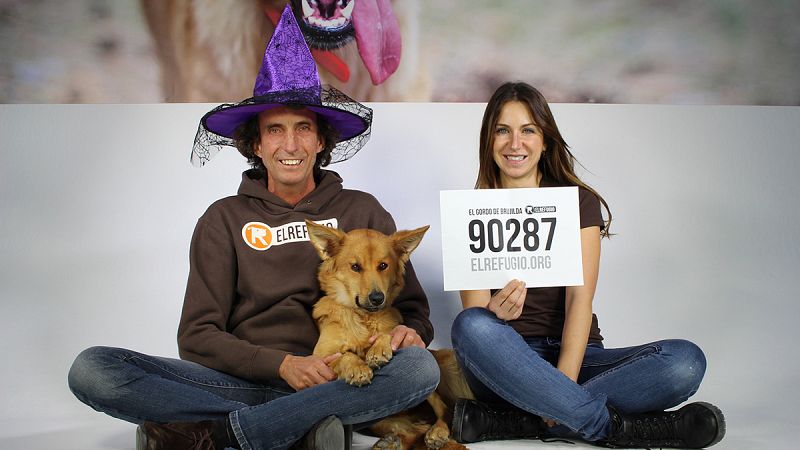 Unas papeletas de Lotería de Navidad solidarias con los animales abandonados