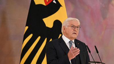 Steinmeier disuelve el parlamento alemn y convoca elecciones anticipadas