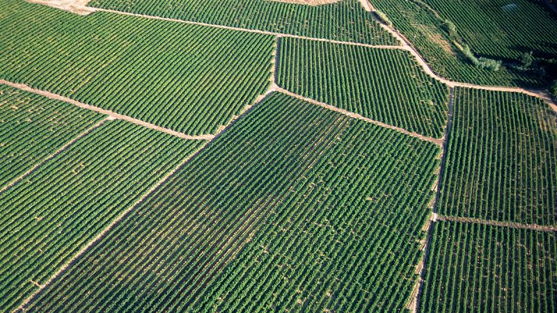 Las claves de la reforma de la Política Agrícola Común (PAC)