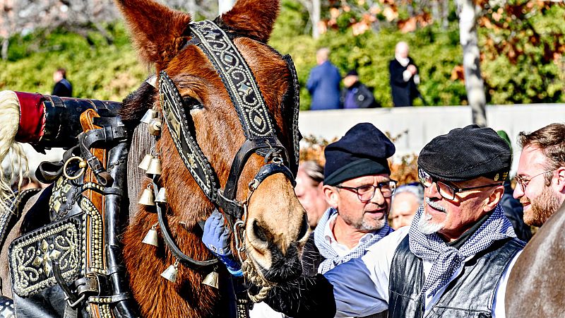 Els tres tombs: entre la festa i la polmica