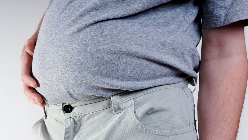 Científicas españolas identifican una proteína clave para quemar la grasa y reducir la obesidad