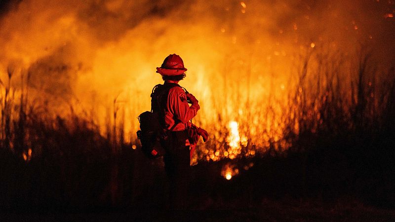 John Valliant, estudioso del fuego, sobre los incendios de Los Ángeles: "Vamos a ser testigos de un cambio errático"