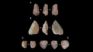 Seleccin de herramientas de piedra procedentes del yacimiento de Engaji Nanyori (Tanzania)