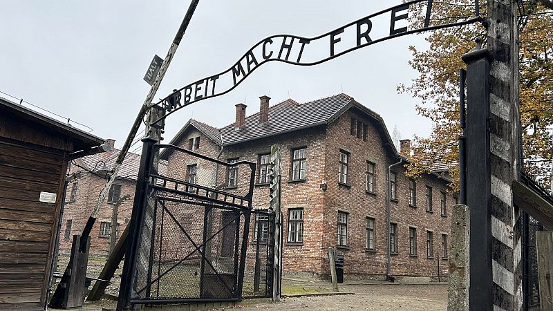 Auschwitz: amor y supervivencia en el campo de la muerte