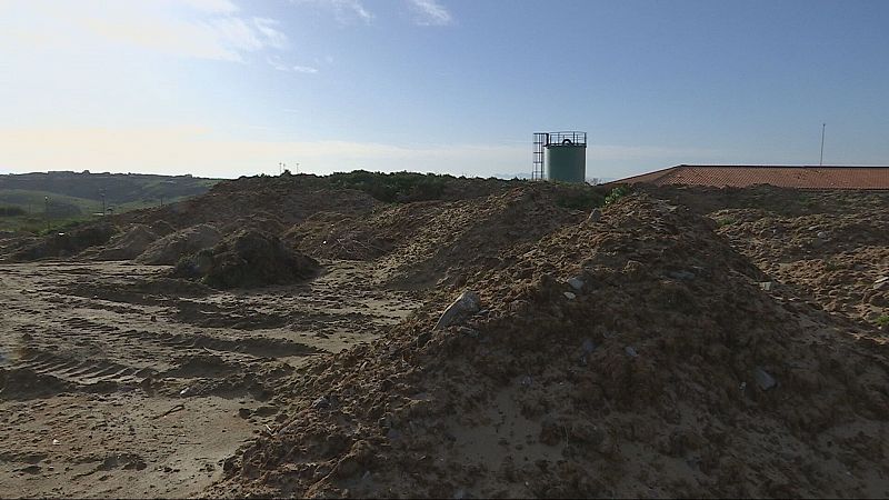 Tarifa pide ayuda para gestionar las algas que invanden sus playas: "Estamos solos ante una catástrofe ambiental"