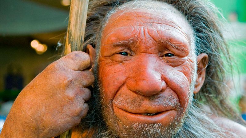 El tórax de los neandertales estaba adaptado para conseguir mayor oxígeno