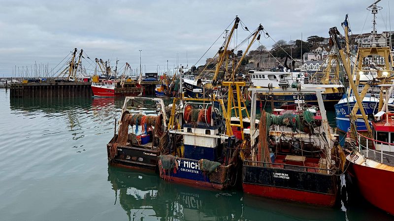 El Brexit, una píldora amarga para pescadores y agricultores: "Se han cargado nuestro sector"