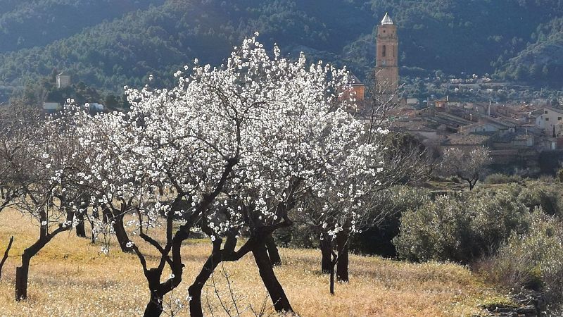 Un paseo por Belmonte de San Jos, la 'Tierra baja' que ha conquistado a Aitana Snchez-Gijn
