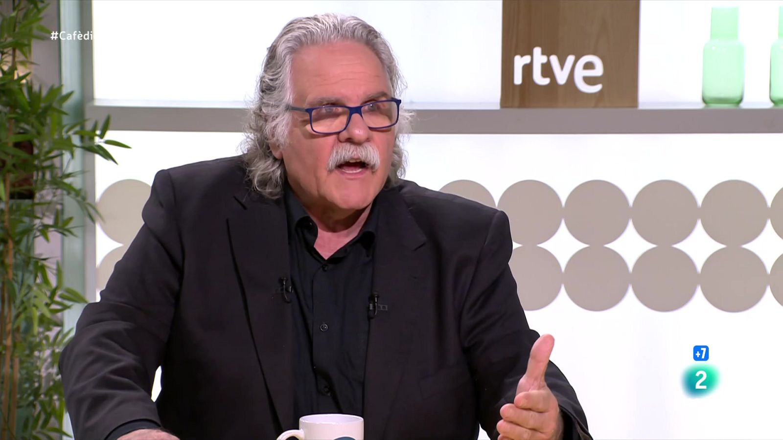 Tardà reivindica un front electoral sobiranista d'ERC, Comuns i CUP | Veure