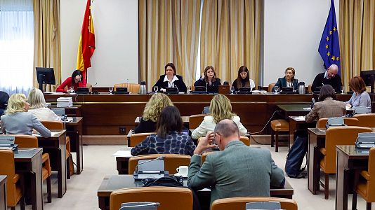 Vista de la Comisin antes de la votacin del nuevo Pacto de Estado contra la Violencia de Gnero