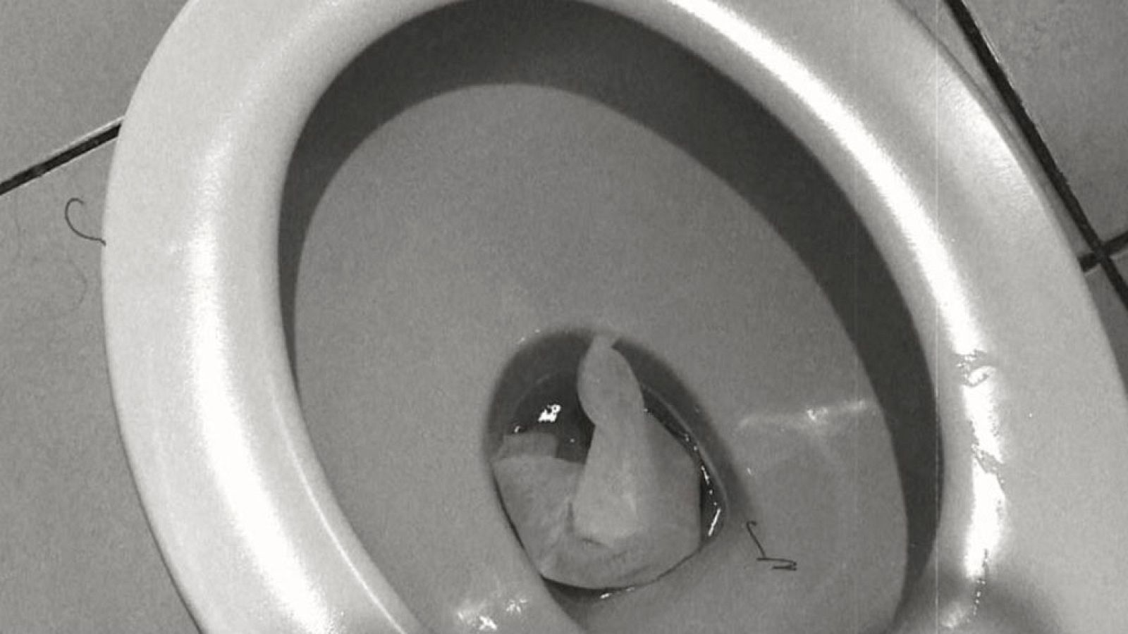 Repor - Todo por el wc