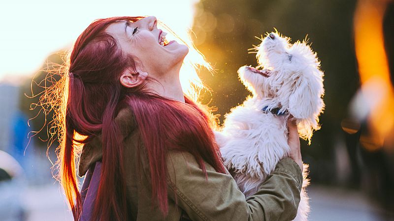 Las mascotas dejarán de ser cosas y no serán susceptibles de embargos o herencias