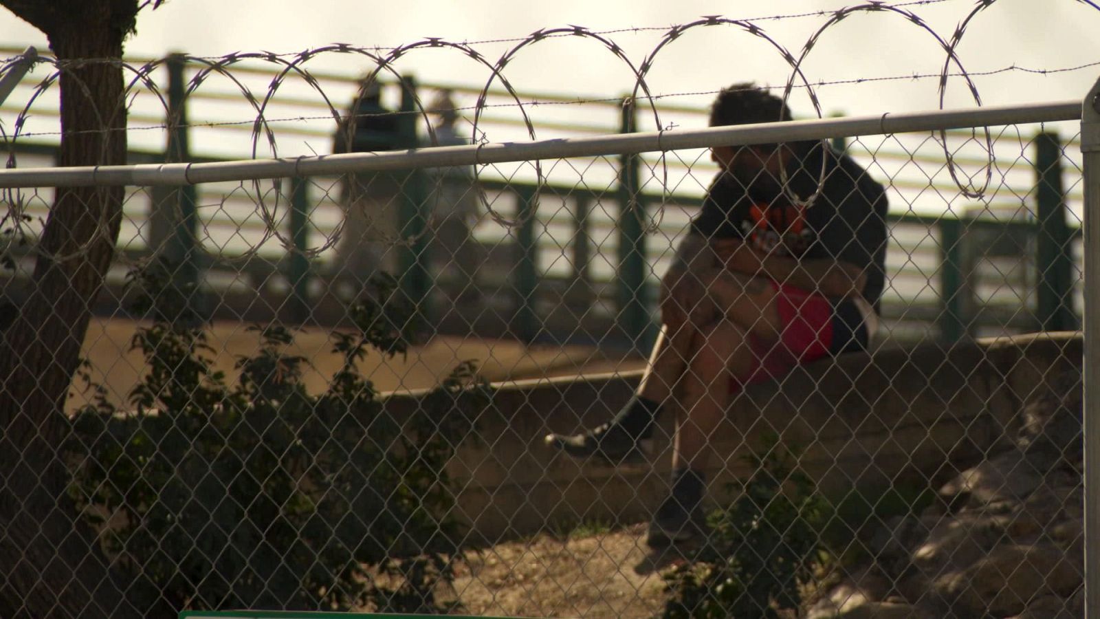 Informe semanal - Tijuana, IN/OUT | Ver