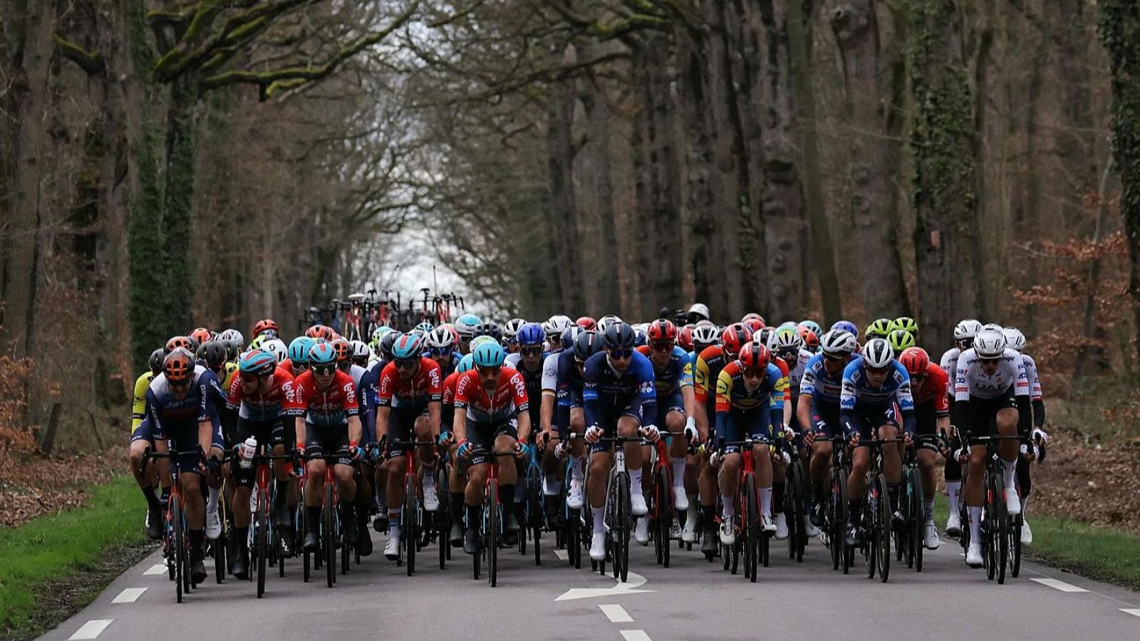 Horario y dónde ver hoy en TV gratis las etapas de la París-Niza 2025, la clásica del ciclismo. Las etapas tendrán lugar del 9 al 16 de marzo en la 83ª edición de la carrera francesa