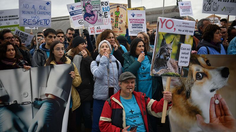 Dos mil veterinarios se manifiestan en Madrid para pedir una regulación "justa" de medicamentos para animales