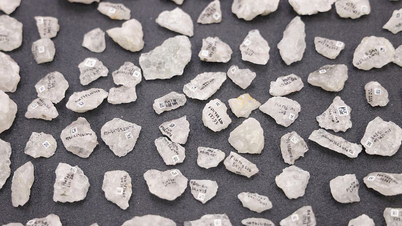 Descubren las primeras hachas de hueso de la historia elaboradas hace 1,5 millones de aos