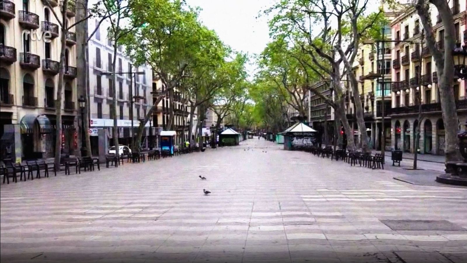 Fa 5 anys del confinament: dels primers contagis als carrers deserts, els hospitals plens i l'arribada de la vacuna. Recordem aquells dies històrics