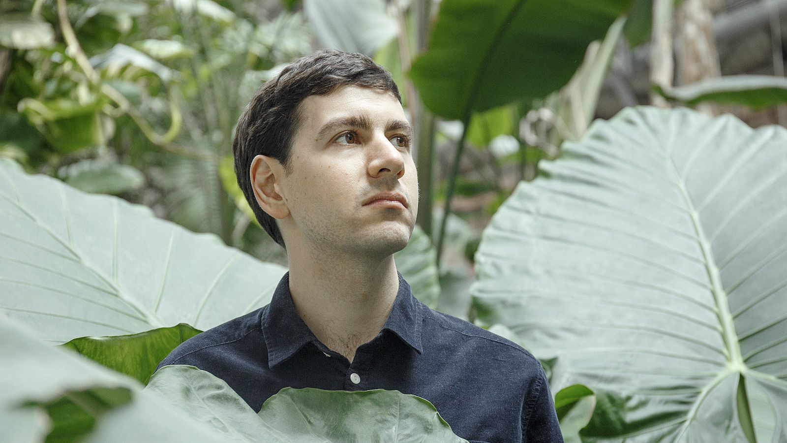 Wild Honey - Acantilado