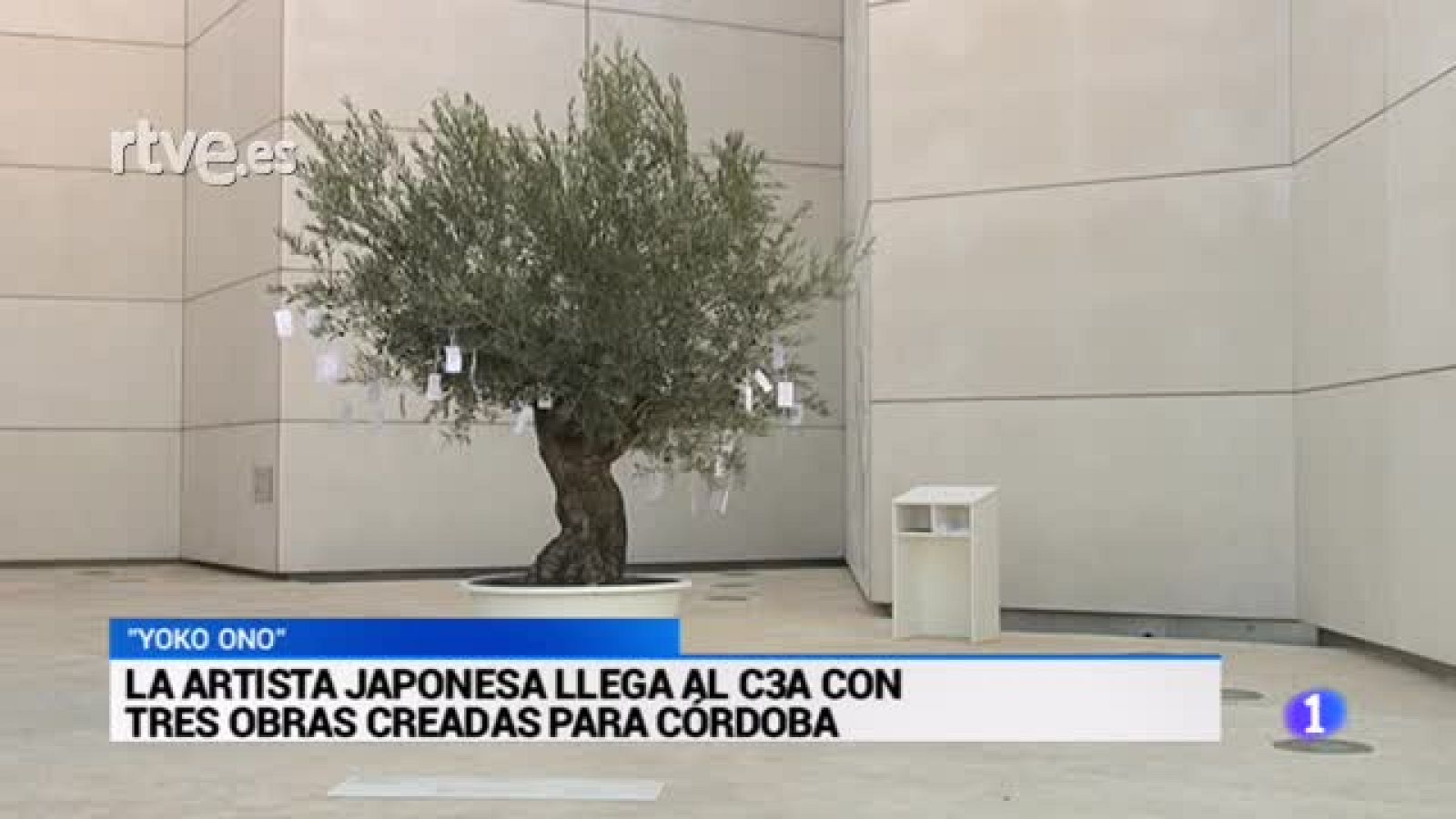 Yoko Ono expone tres creaciones en Córdoba | Ver