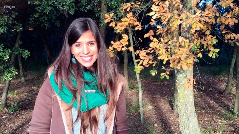 ¡Qué animal! estrena temporada en la Sierra de Guadarrama donde habita una de las colonias de buitre negro más importantes de todo el mundo