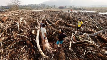 Destruccin causada por el tifn Usagi en Filipinas el pasado noviembre