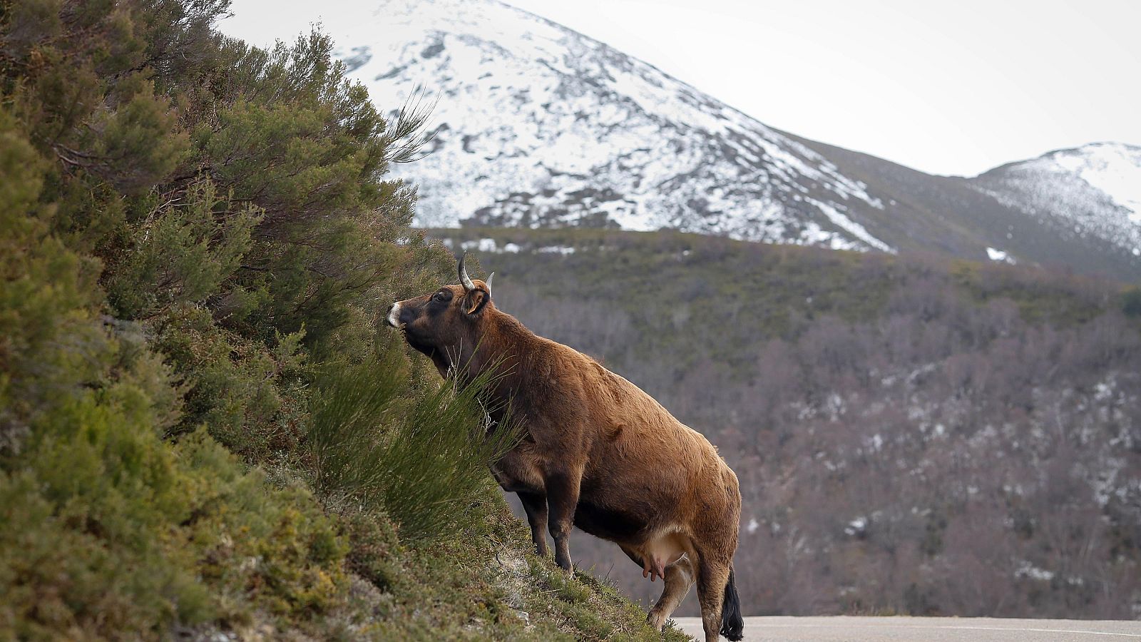 Aviso amarillo en 13 comunidades autónomas - El tiempo | Ver