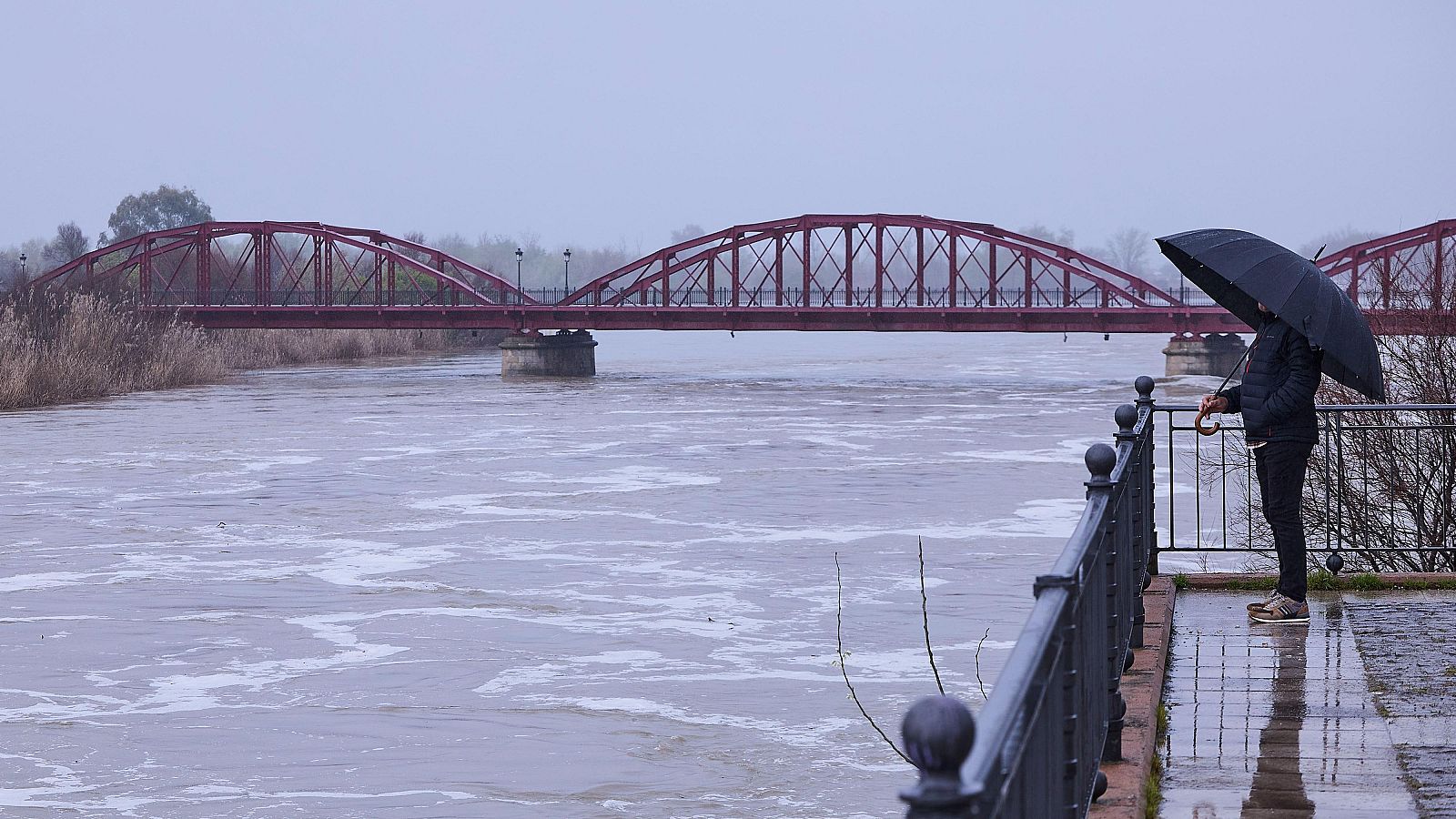 Martinho deja ríos desbordados y cientos de viviendas afectadas | Ver