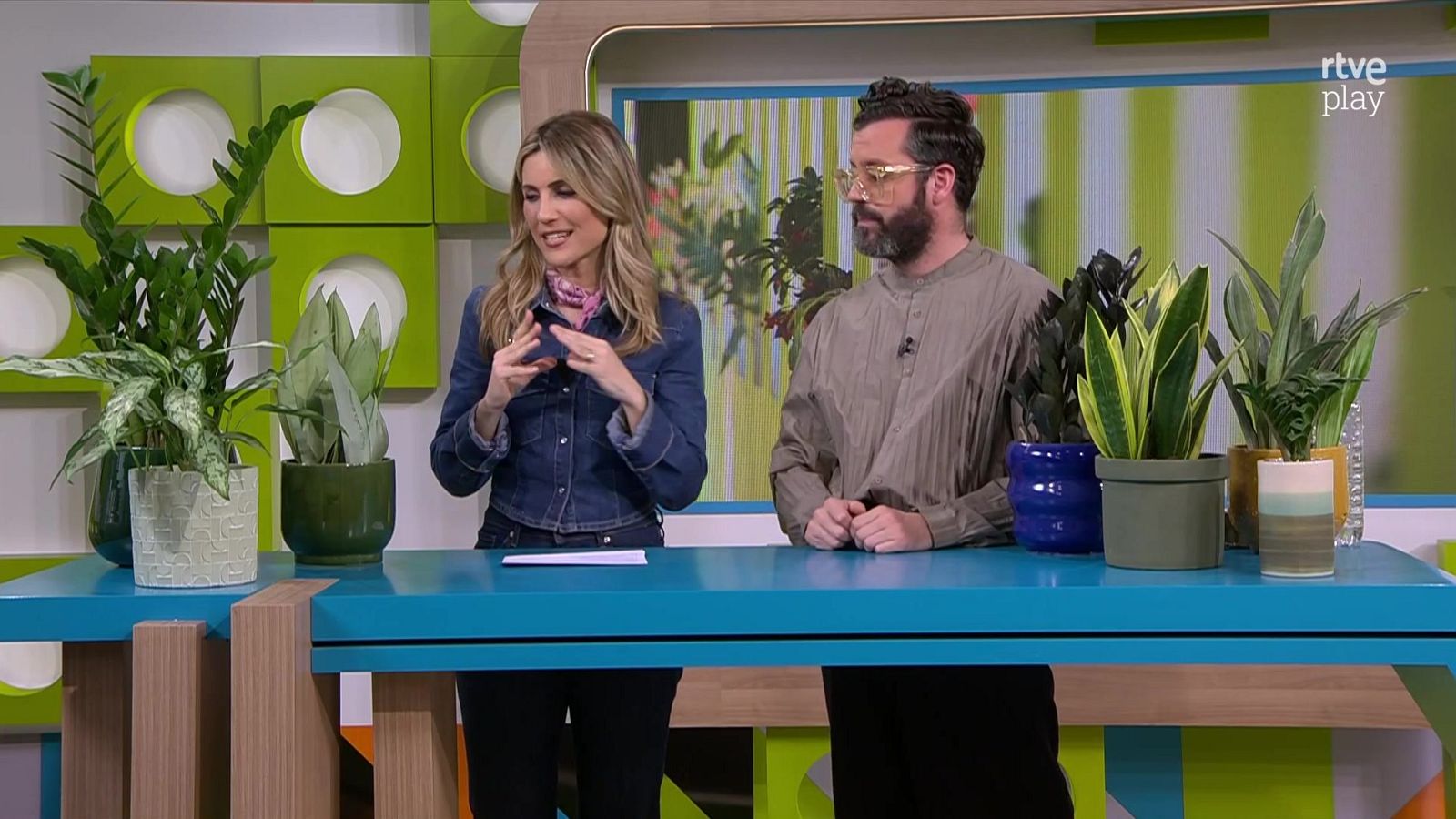 Quines plantes sobreviuen amb poca llum? | L'altaveu - L'altaveu | Veure