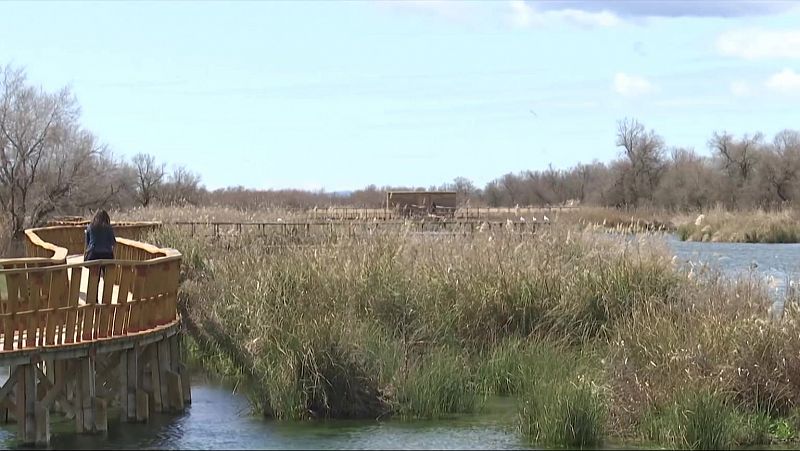 Los humedales de Daimiel y Doñana recuperan su esplendor natural tras las intensas lluvias de marzo