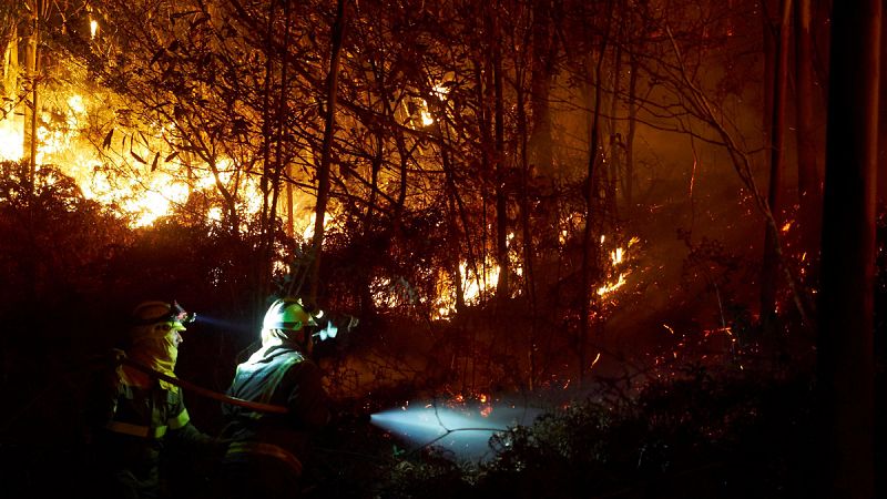 Los incendios en 2017 dejan el mayor número de hectáreas quemadas de los últimos cinco años