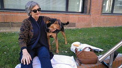 La paradoja 'pet friendly': ciudades que aman a los perros, pero no en su metro