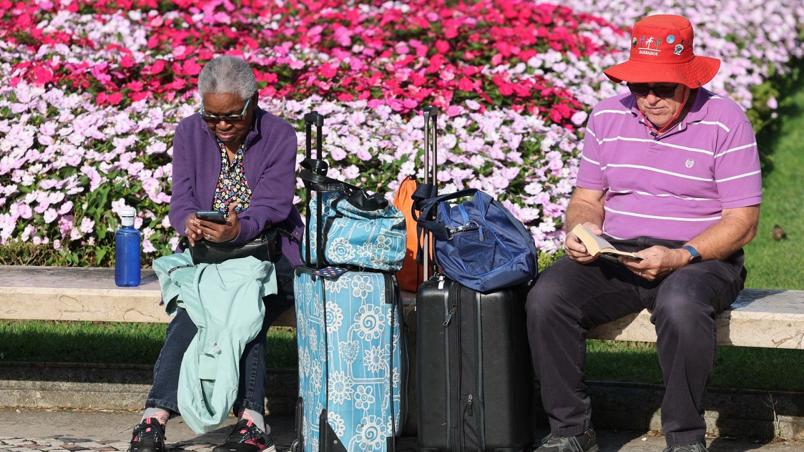 Viajes del Imserso por 50 euros para las pensiones más bajas - La tarde en 24h | Ver