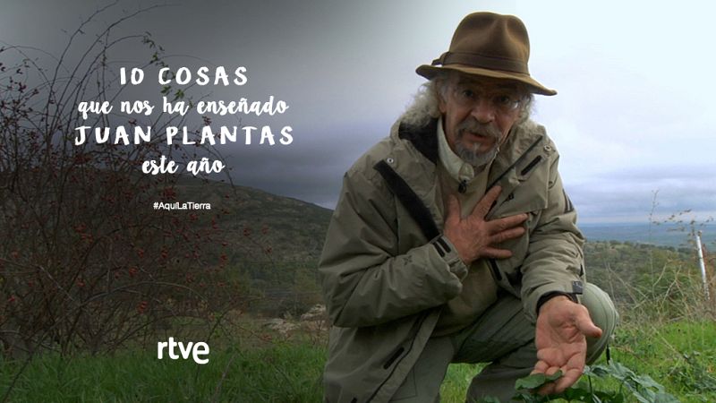 10 cosas que hemos aprendido con Juan Plantas este año