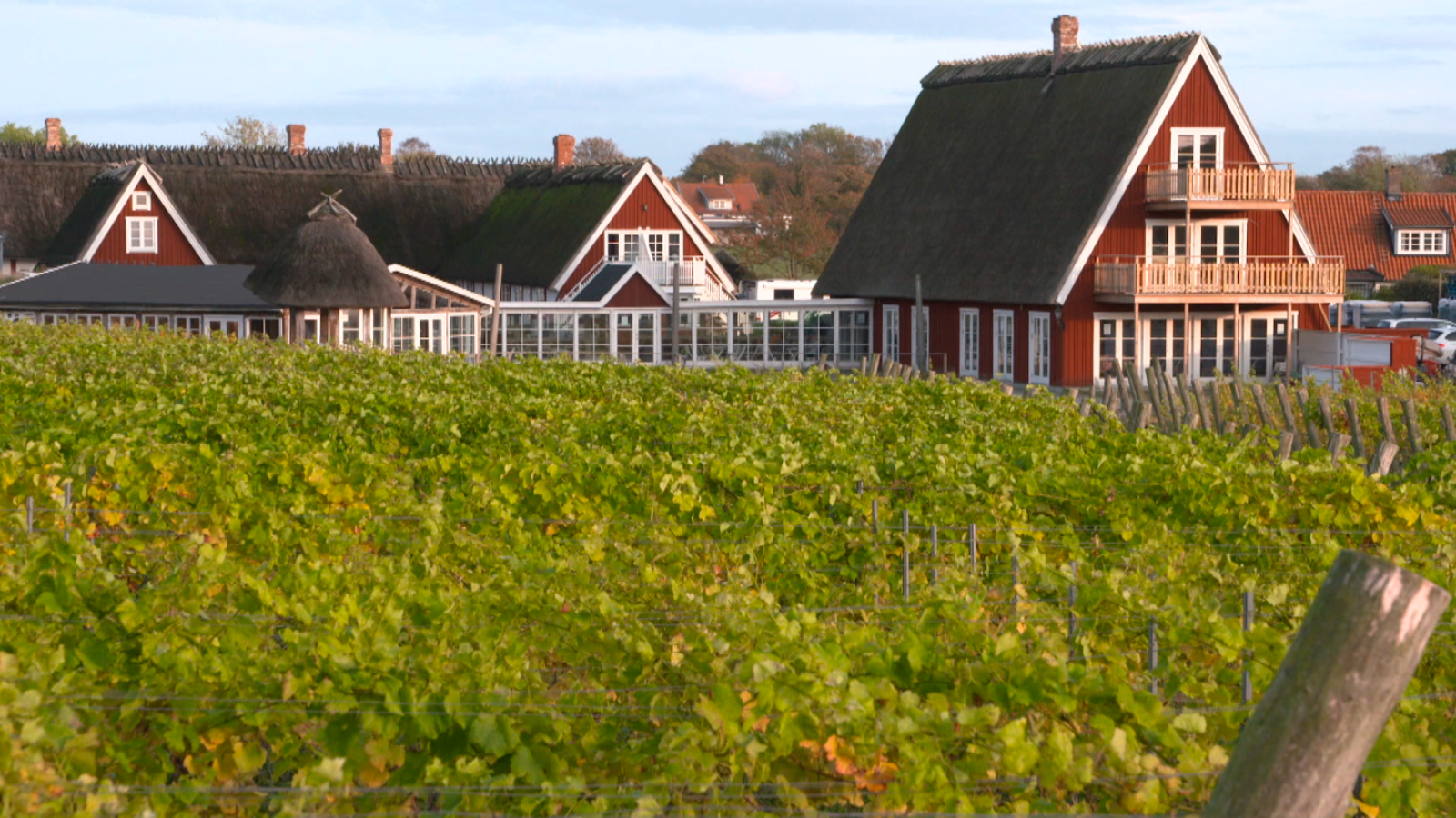 Turisme rural al món - Petjada dels gegants - Veure ara