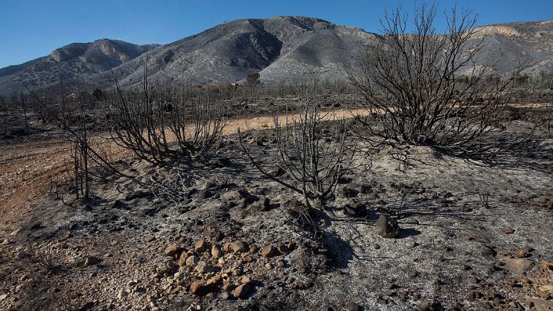 Estabilizado el incendio forestal de Culla, tras quemar más de 400 hectáreas